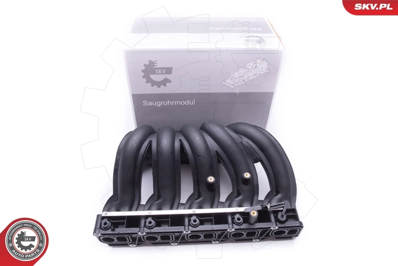 Intake Manifold Module